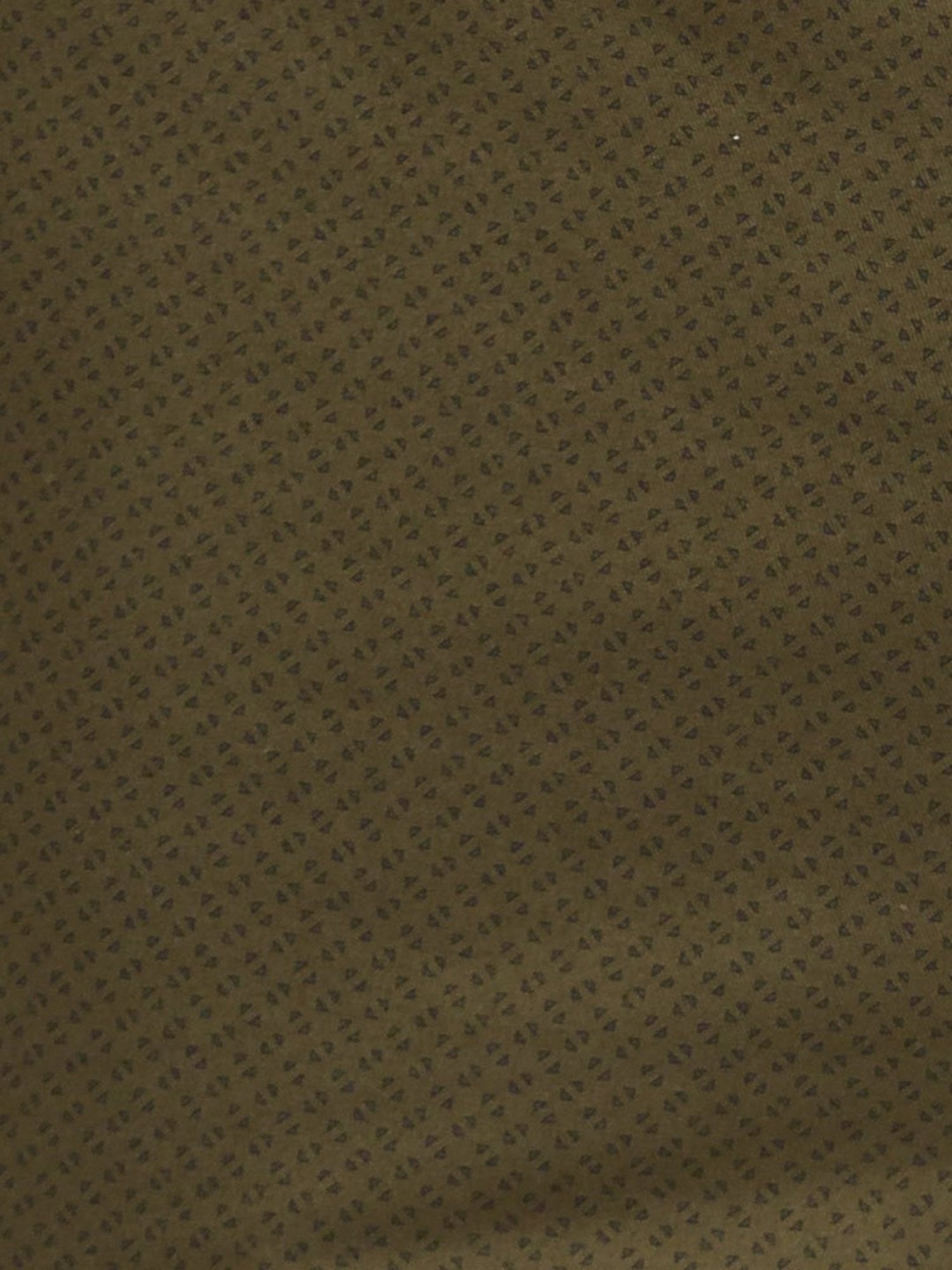 ColorPlus Brown Contemporary Fit Printed Shorts