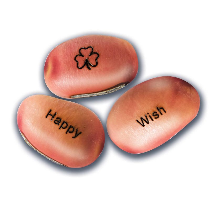 Creativity for Kids Magic Bean Garden Activity Kit