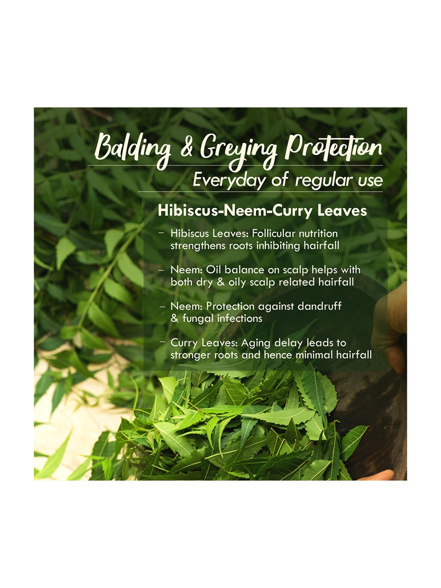 Qraa Men Red Onion Hair Oil - 100 ml