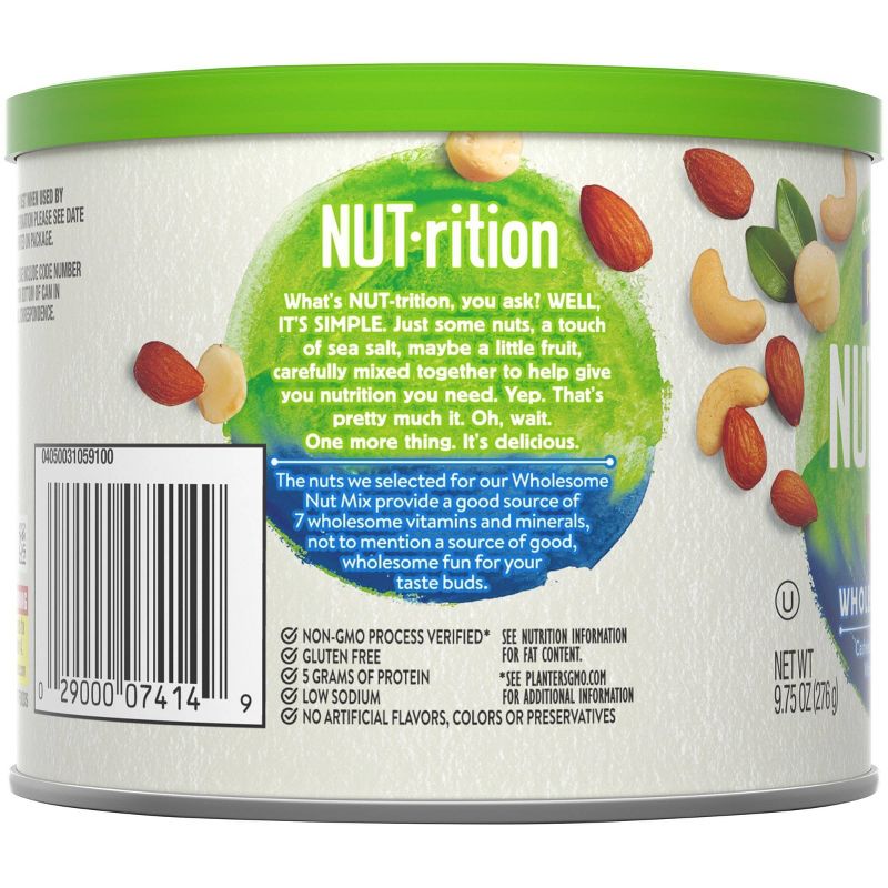Planters Nutrition Wholesome Nut Mix - 9.75oz