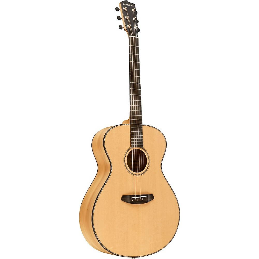 Ibanez AWFS300CE Acoustic/Electric, Open Pore Semi-Gloss