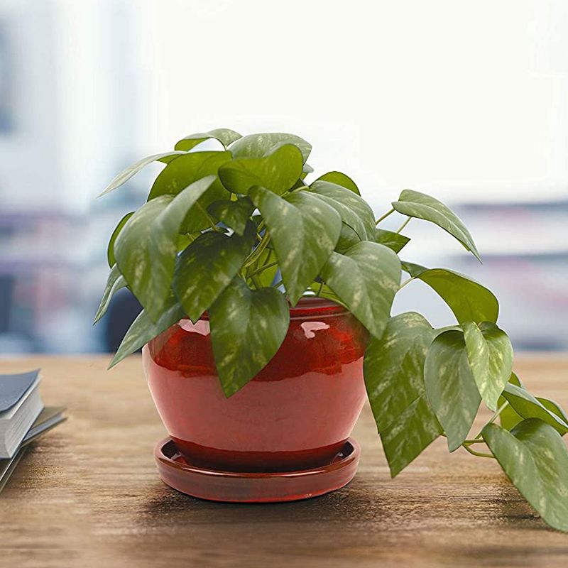 Southern Patio Wisteria 12 Inch Diameter Ceramic Indoor Outdoor Garden Planter Pot Urn with Saucer for Flowers, Herbs, and Plants, Red