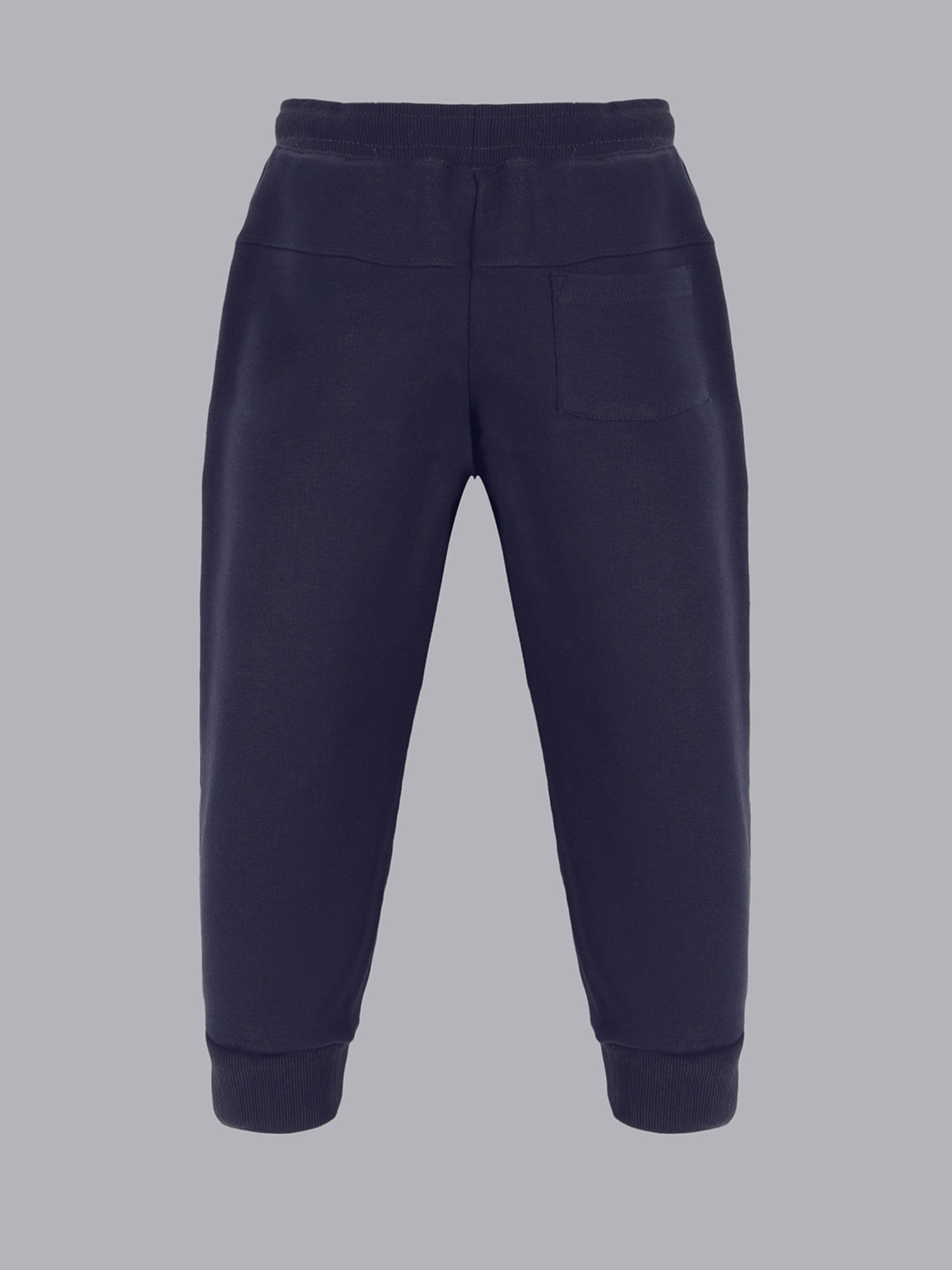 Plum Tree Boys Navy Printed Joggers