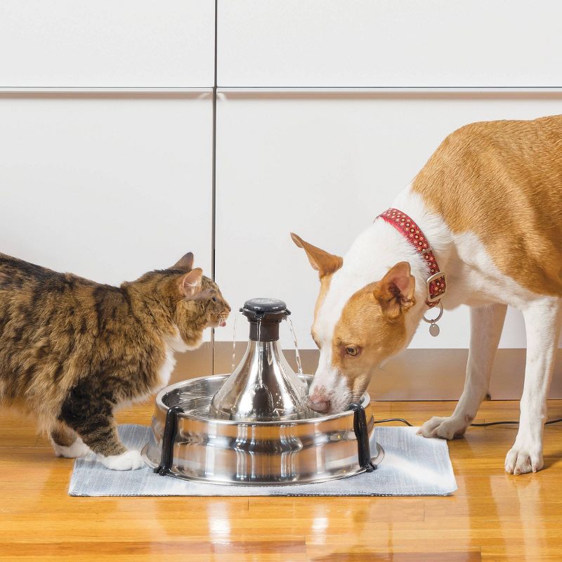 PetSafe Drinkwell Stainless Multi-Pet Fountain - Stainless Steel