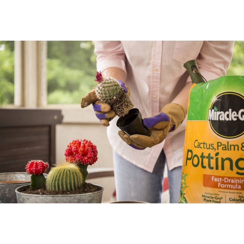 Miracle-Gro Cactus Palm Citrus Potting Soil - 8qt