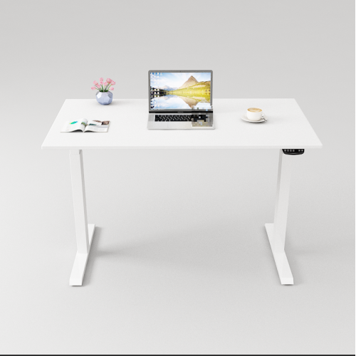Electric Gaming Computer Desk Home Office Desk Height Adjustable Standing Desk With Dual German OKIN Motor White 47.2"Lx23.6"Wx28.3''-48''H
