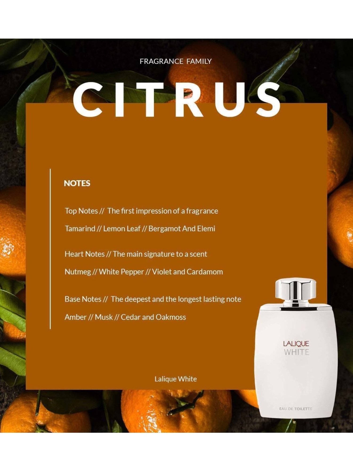 Jean Paul Gaultier Divine Eau de Parfum for Women - 100 ml