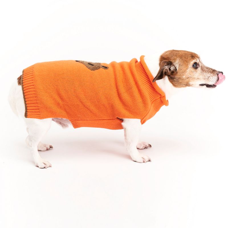 Royal Animals Dog and Cat Sweater - Orange - XS