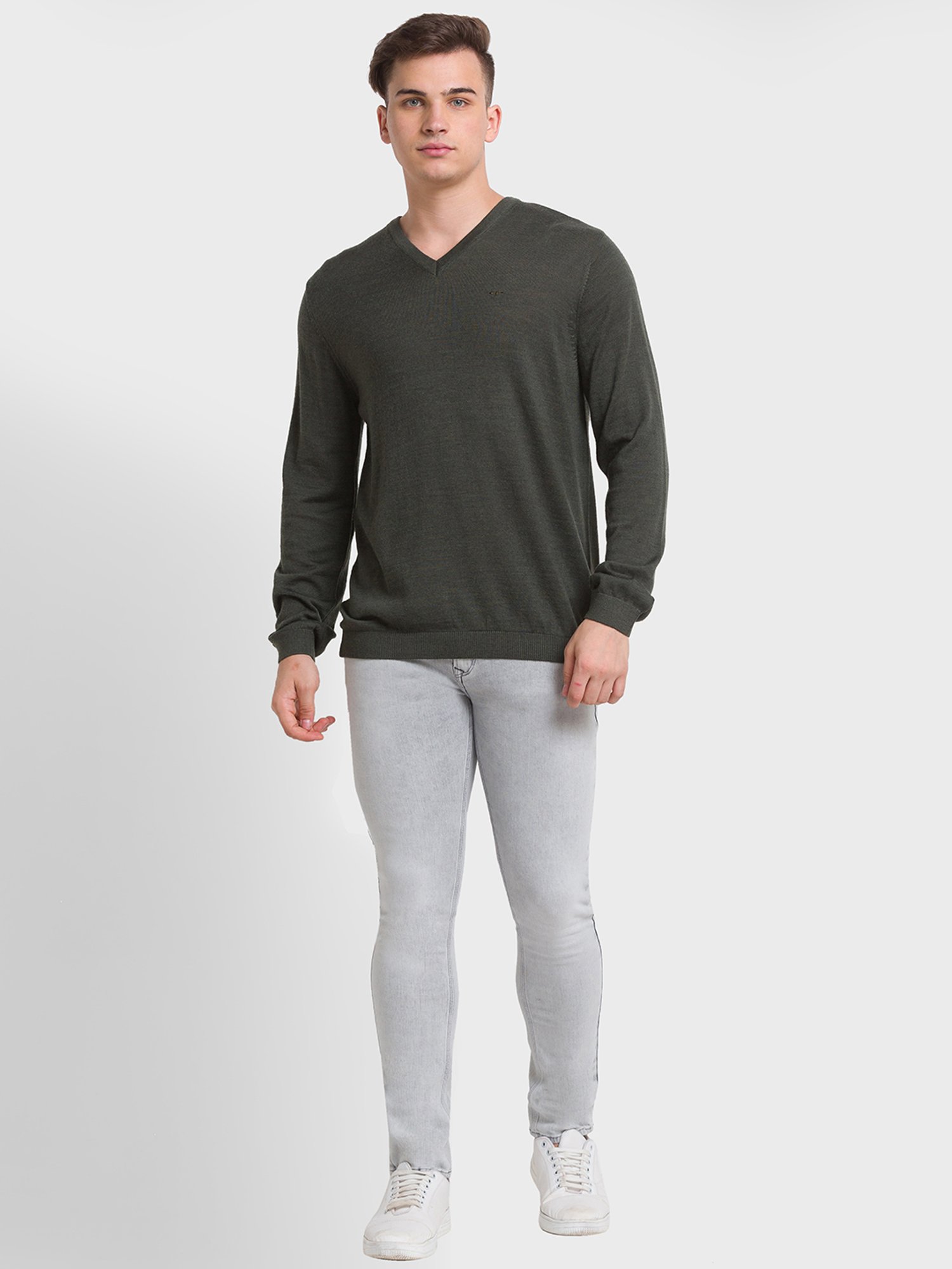 ColorPlus Green Tailored Fit Sweaters