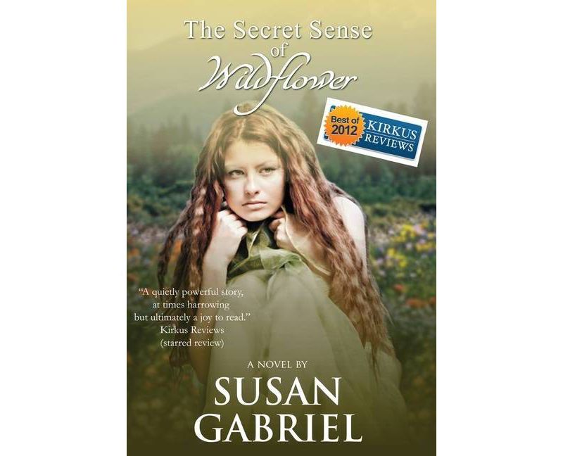 The Secret Sense of Wildflower - Southern Historical Fiction, Best Book of 2012 - by  Susan Gabriel (Hardcover)