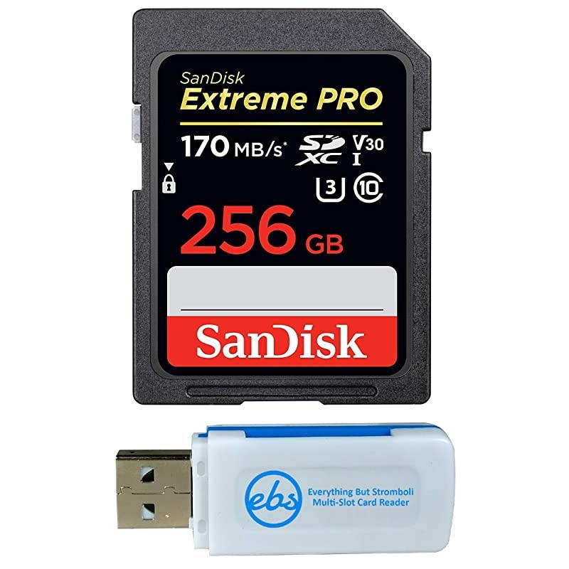 256GB SDXC Extreme Pro Memory Card Bundle Works with Sony Alpha a6000 Mirrorless Camera ILCE6000 4K V30 SDSDXXY256GGN4IN Plus 1 Everything But Stromboli TM Combo Card Reader