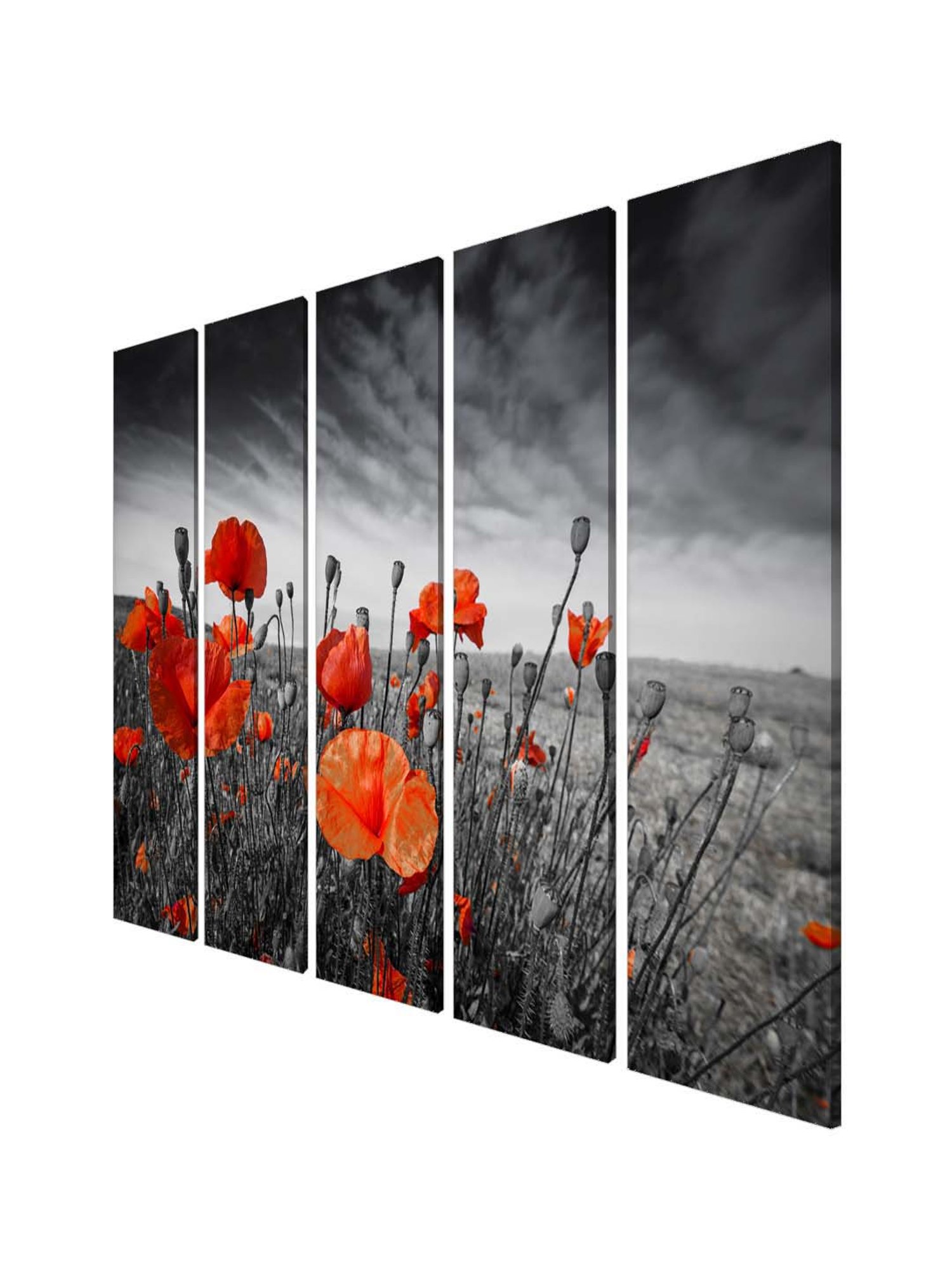 999Store Black & Orange Flowers Art 5 Frame MDF Paintings