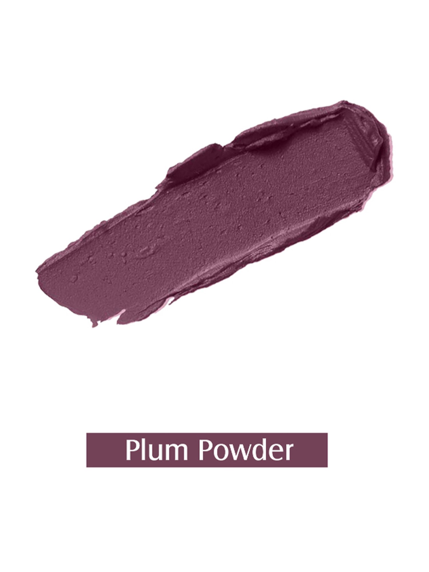 Glam21 Matt Pro Ink Non Transfer Lipstick 13 Plum Power - 3 gm