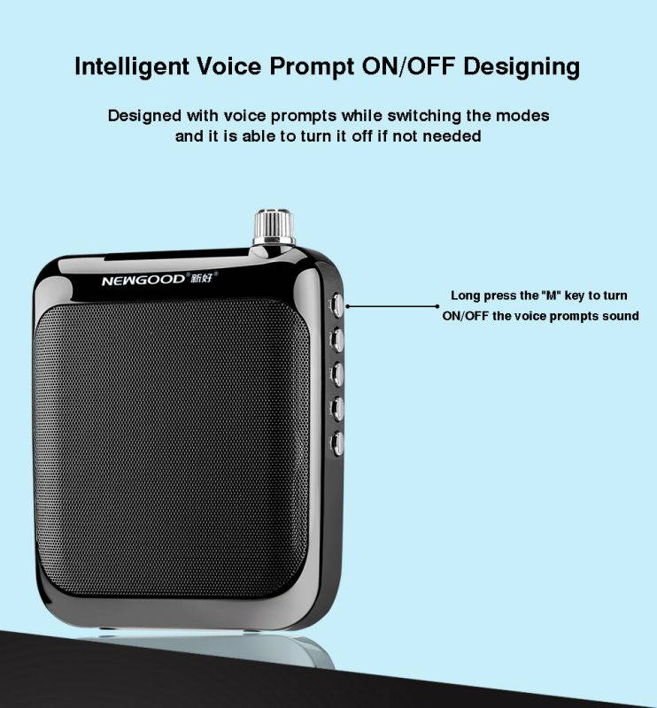 NEWGOOD Bluetooth loudspeaker Portable Wired Waistband Voice Amplifier with FM Radio for School Teachers Classroom Yoga Coach Training (black)