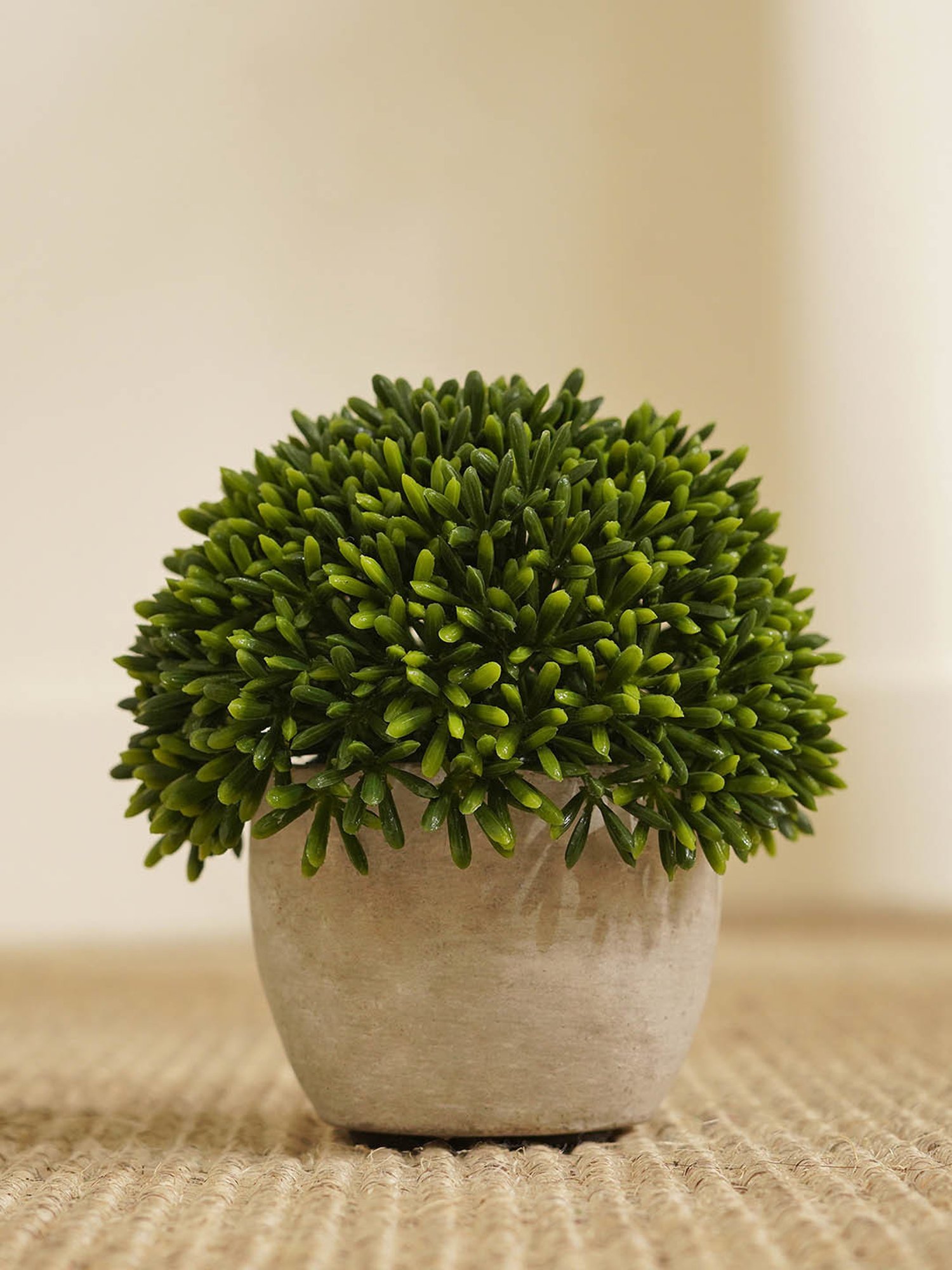 Pure Home and Living Green Plastic Potted Plants