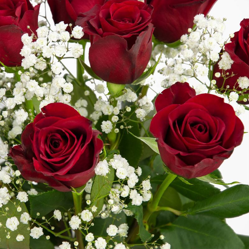 Colour Republic Red Rose + Gypsophila Bouquet