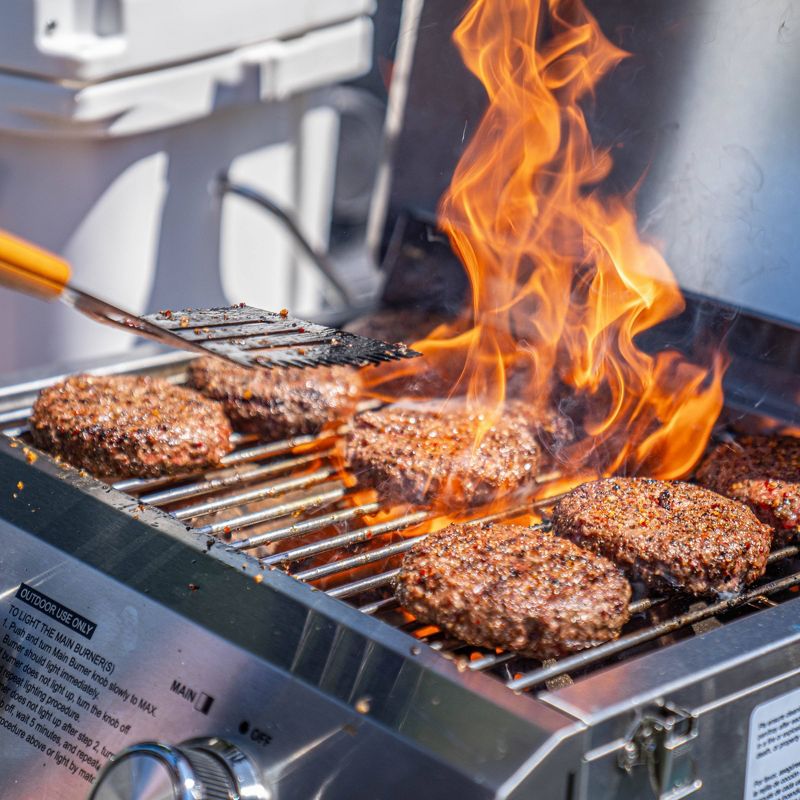 2-Burner Portable Tabletop Stainless Steel Propane Gas Grill Model 13742 - Monument Grills