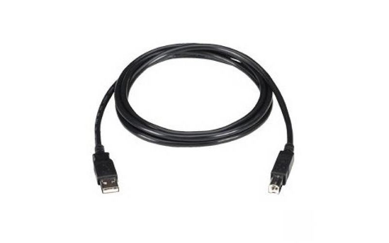 Black Box USB 2.0 A to Mini B Cable - Type A Male USB - Mini Type B Male USB - 6ft