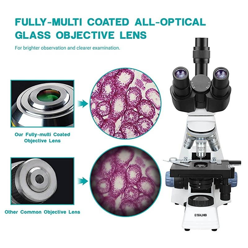 40X-2000X Microscopes for Students Adults 3W LED Compound Lab Microscope with Phone Adapter X-Y Mechanical Stage N.A = 1.25 Abbe Condenser 2 Types of Power Supplies