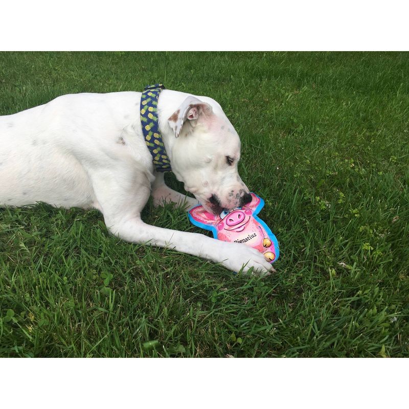 Fuzzu All Ears Pignatius Dog Toy