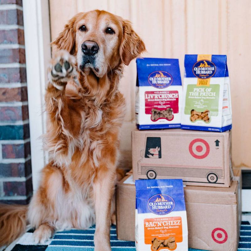 Old Mother Hubbard Grain Free Crunchy Pick of The Patch Biscuits Mini Oven Baked Dog Treats – 16oz