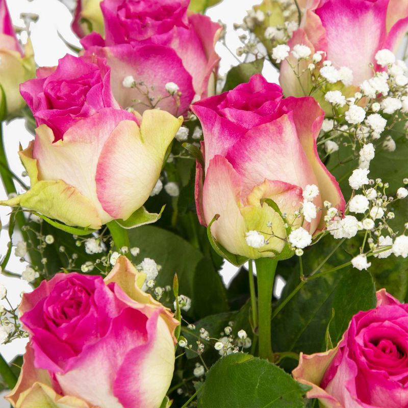 Colour Republic Pink Rose + Gypsophila Bouquet