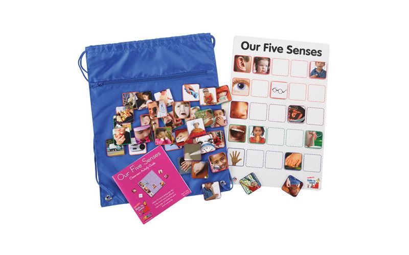 Kaplan Early Learning Company Our Five Senses Interactive Game