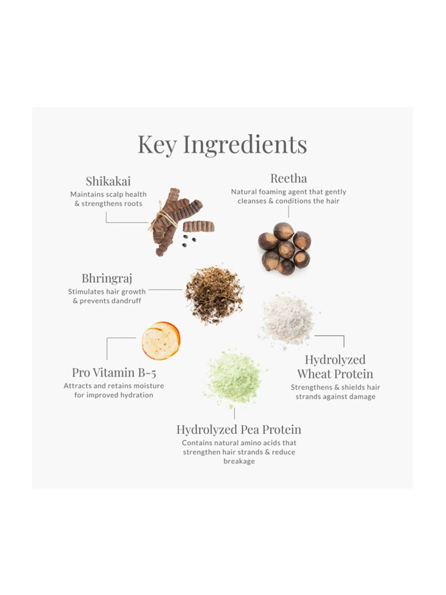 Forest Essentials Bhringraj & Shikakai Ayurvedic Anti Dandruff Hair Cleanser Shampoo - 50 ml