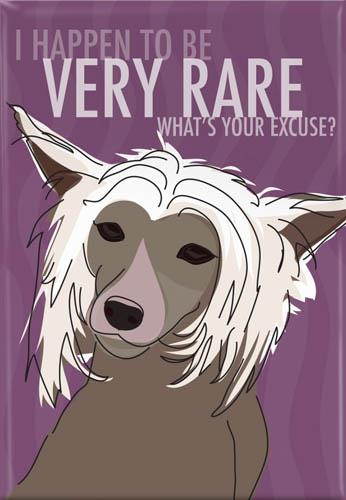 Chinese Crested Rare Magnet by Pop Doggie
