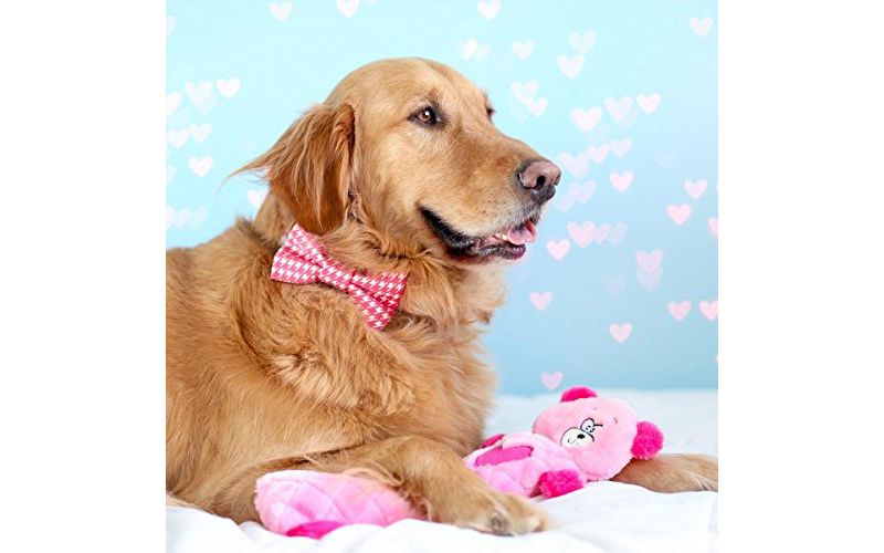 NERF Blitz Squeak Football Dog Toy - Green - 7"