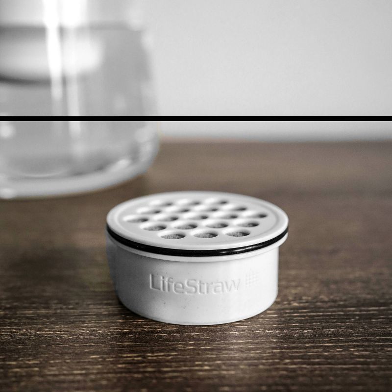 Lifestraw Home Replacement Carbon Filter