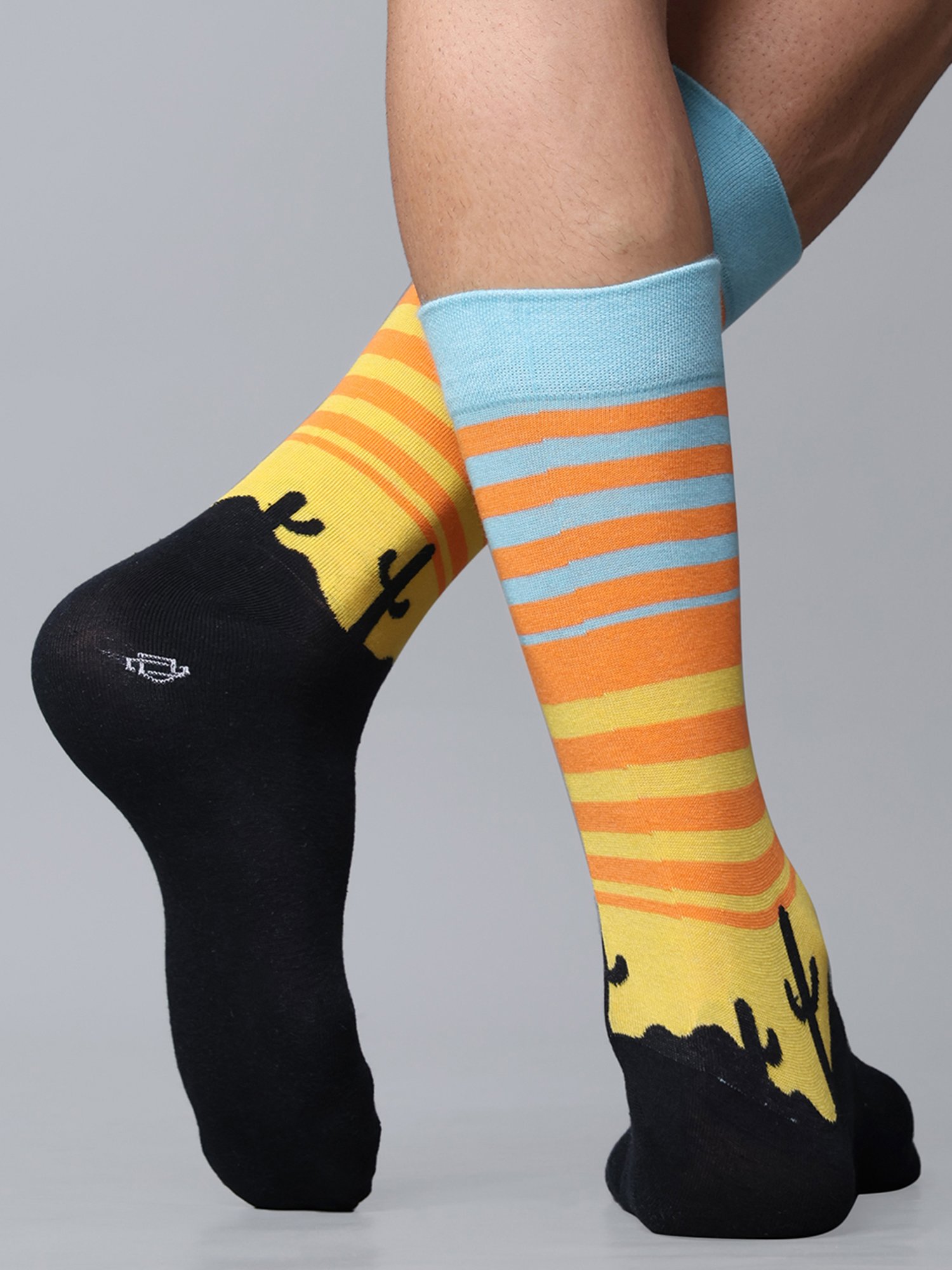 Dollar Socks For Mne's Casual Full Length In (Pack of 5)