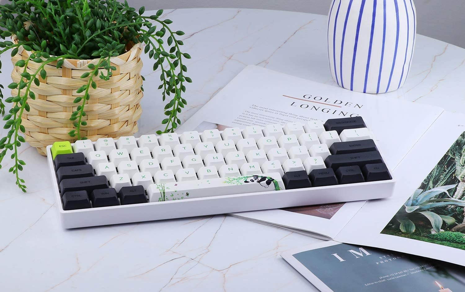 EPOMAKER SKYLOONG SK61 61 Keys 60% Hot Swappable Programmable Mechanical Gaming Wired Keyboard with RGB Backlit, NKRO, Water-Resistant, Type-C Cable for Win/Mac/Gaming (Gateron Optical Black, Panda)