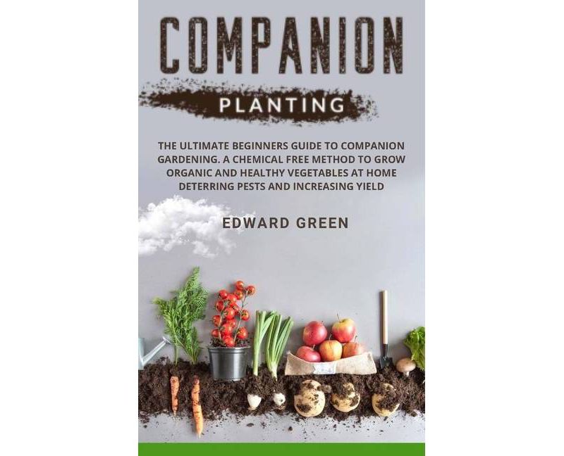 Self-Sufficiency: Herbs and Spices - by  Linda Gray (Paperback)