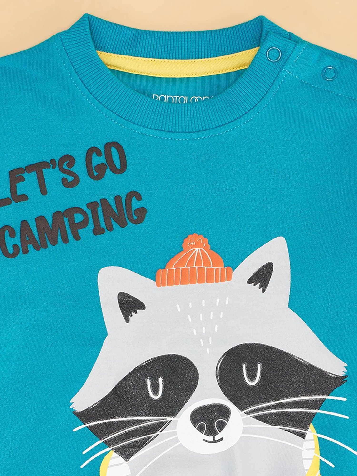 Pantaloons Baby Teal Sweatshirt