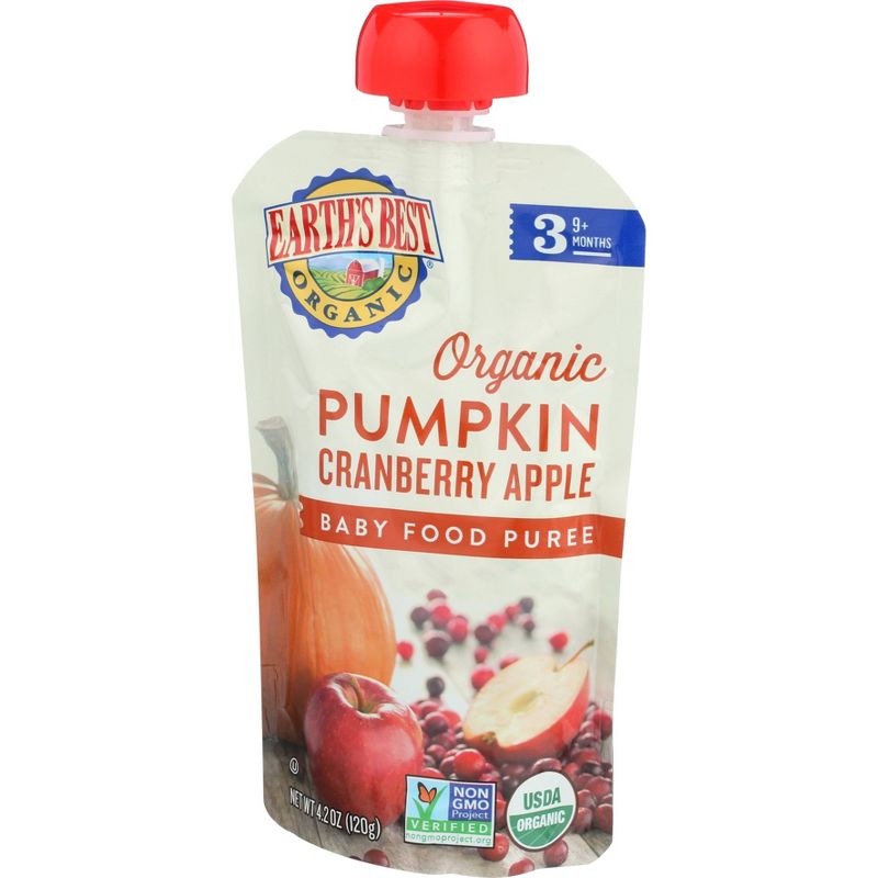 Earth's Best Organic Pumpkin Cranberry Apple Baby Food Pouch - 4.2oz