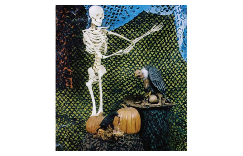 8'x20' Halloween Camo Net Green/Brown