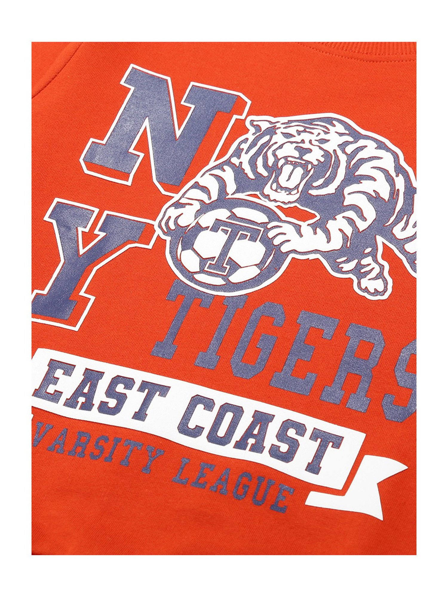 Plum Tree Kids Orange Printed Full Sleeves Sweatshirt