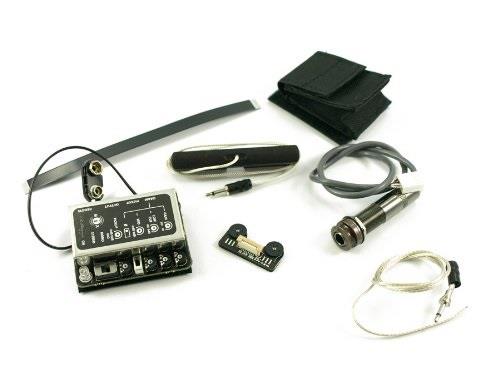 lr baggs internal preamp/mixer with element and ibeam pickups and remote control ii  nylon string