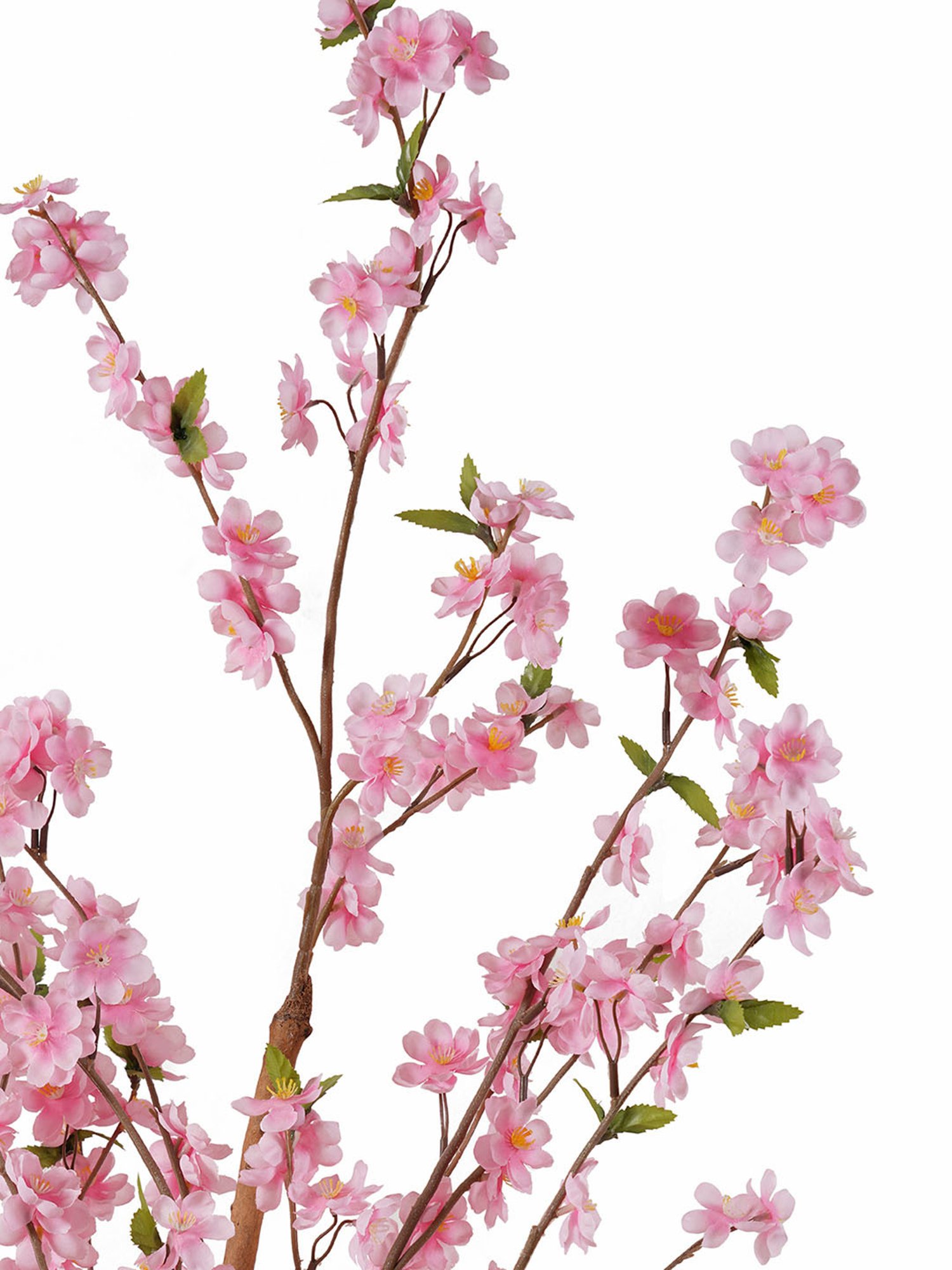 Pure Home and Living Pink Plastic Potted Plants