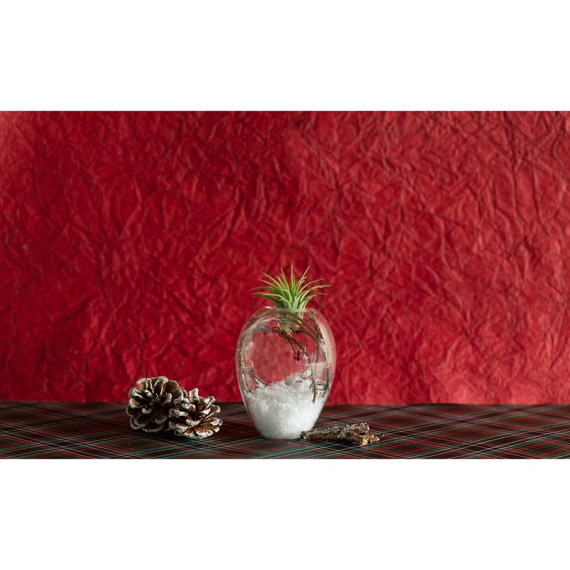 LiveTrends Crystal Frost