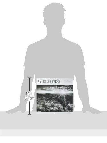 TF Publishing 2017 Americas Parks Wall Calendar (17-1094)