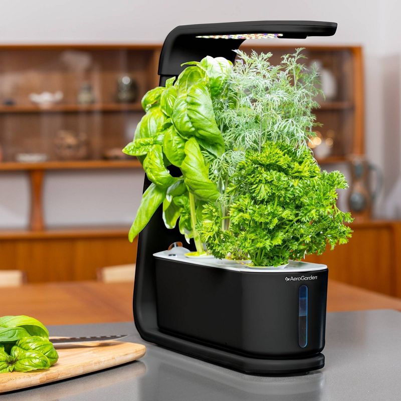AeroGarden Sprout - Black