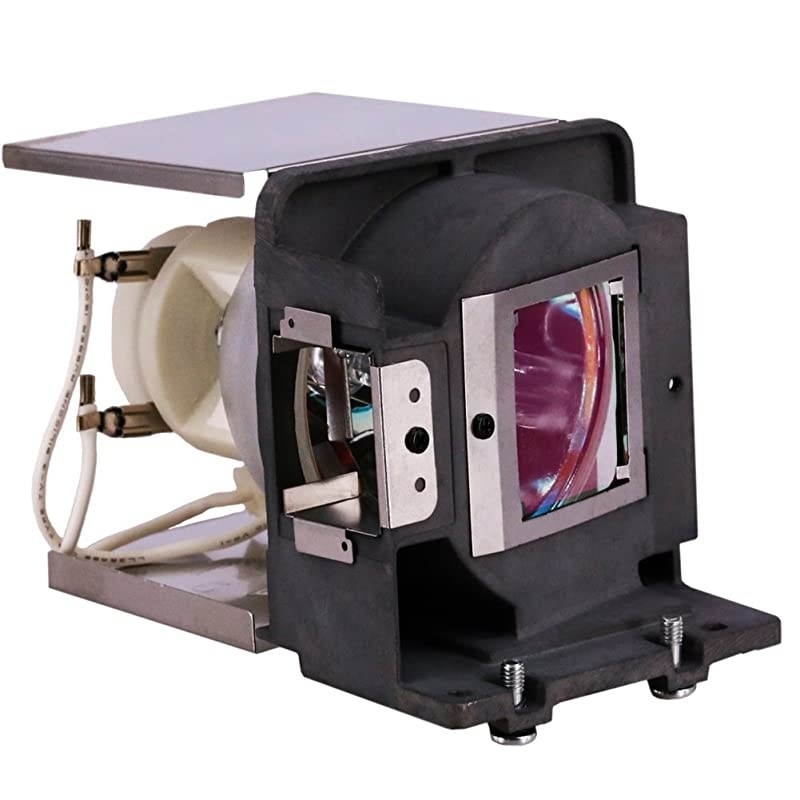 RLC072 Replacement Projector Lamp Bulb for ViewSonic PJD5133 PJD5123 PJD5523w PJD5223 PJD5233 PJD5353 Pro6200