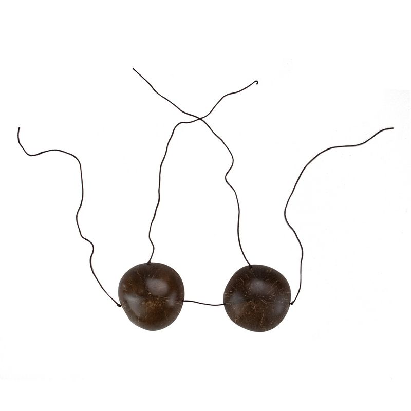 Chauvet DJ B-250 Portable Pro Effect Party Bubble Machine + Equipment Carry Bag