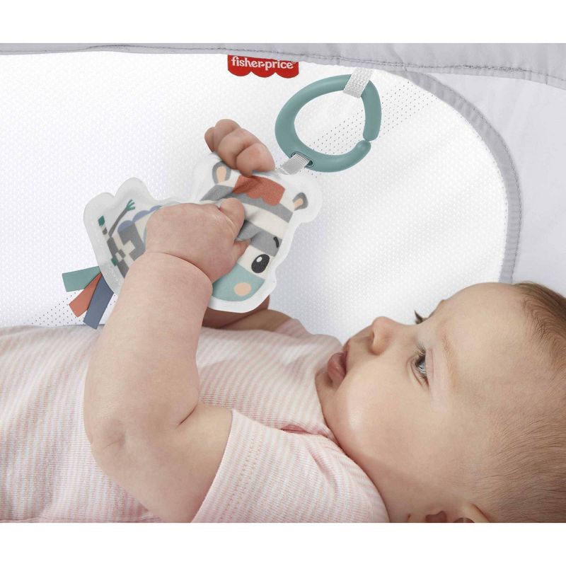 Simmons Kids' Silent Auto Gliding Deluxe Bassinet - Embossed Paisley