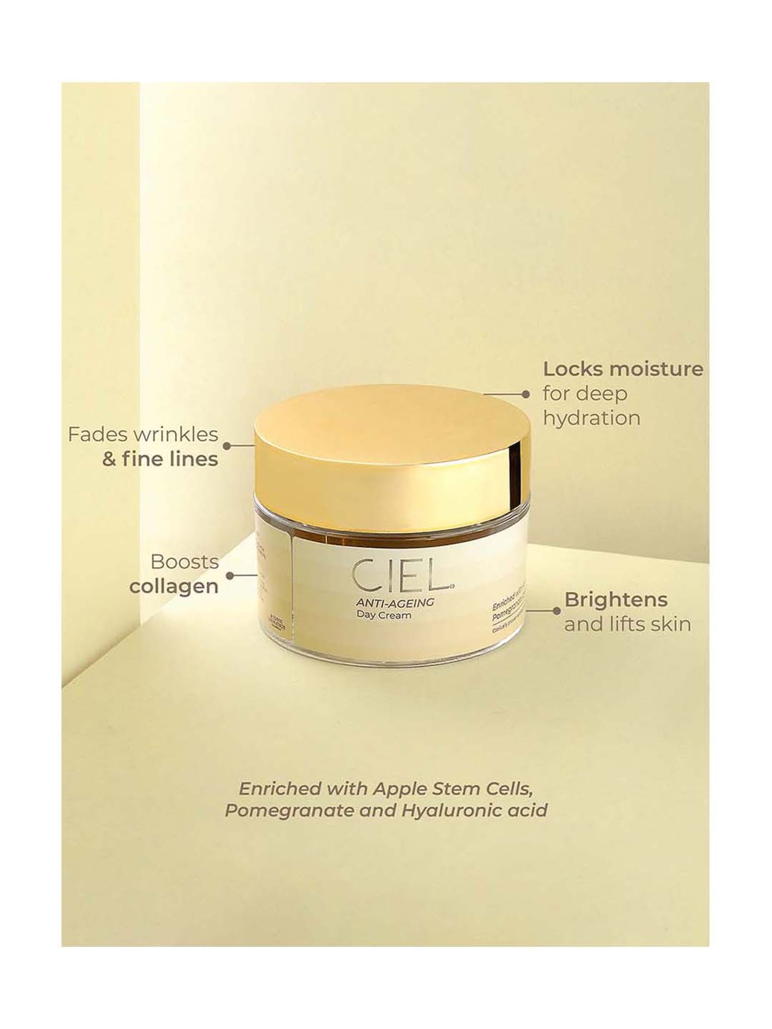 CIEL Anti-Ageing Day Cream - 50 gm