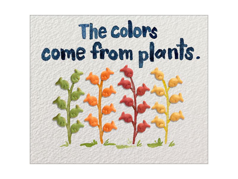 Pepperidge Farm Goldfish Colors Cheddar Crackers - 6.6oz Bag