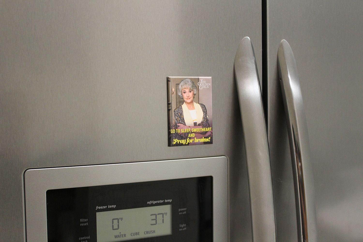 The Golden Girls Dorothy Pray For Brains 2.5 x 3.5 Inch Magnet