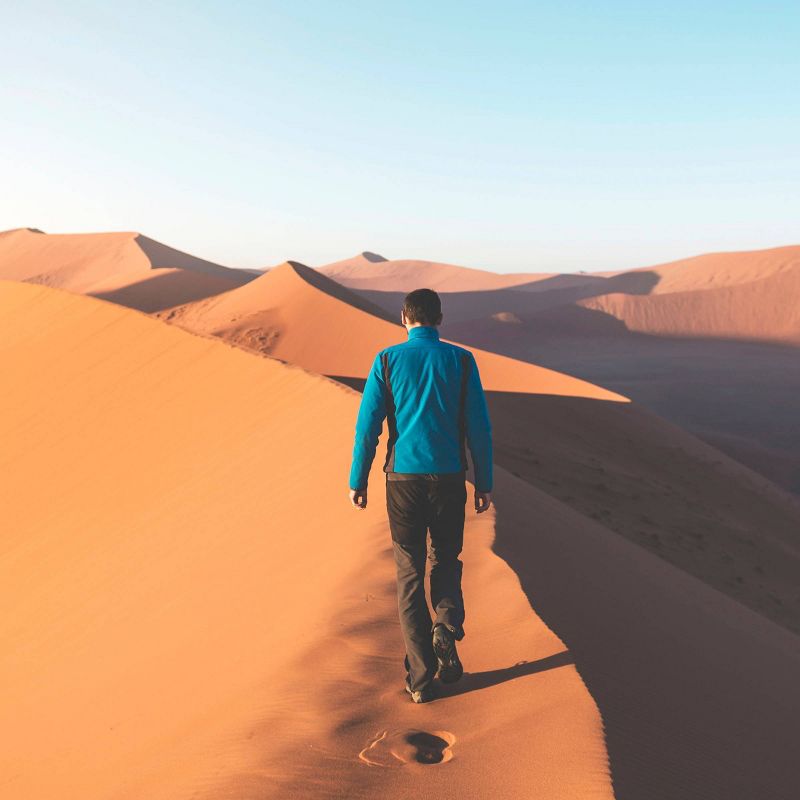 Old Spice Men's Anti-Perspirant Deodorant Canyon with Aloe - 2.6oz 